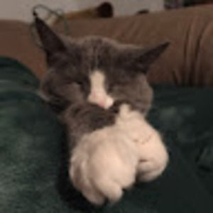 Meet your Posher, Alexi